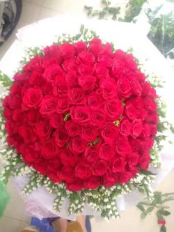 Bó hoa hồng đỏ – DH059