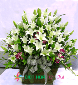 Giỏ hoa loa kèn trắng – DH172