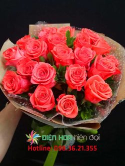 Hoa hồng luôn bên em – DH259