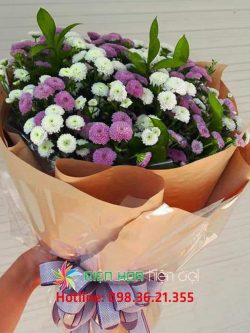 Bó hoa đẹp cúc calimero – DH261