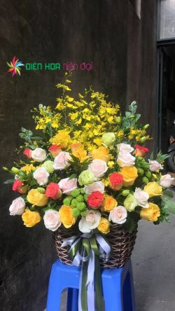 Giỏ hoa mừng cửa hàng – DH012